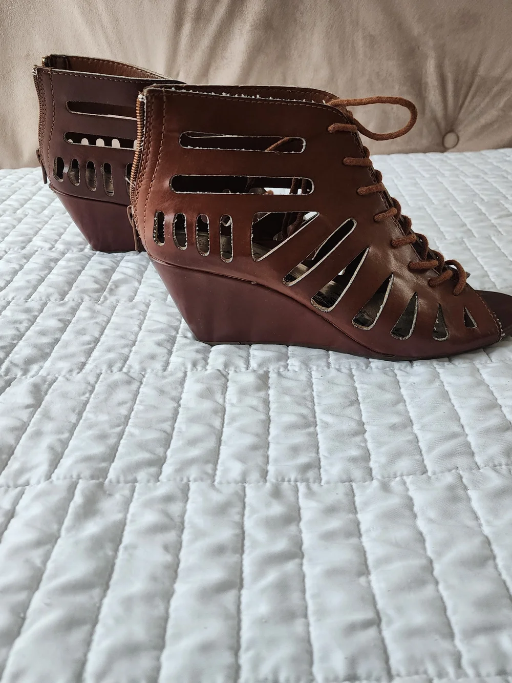 Brash caged gladiator
